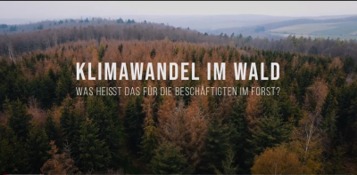 Klimawandel im Wald Klimawandel im Wald