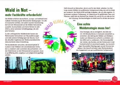 Wald in Not 1