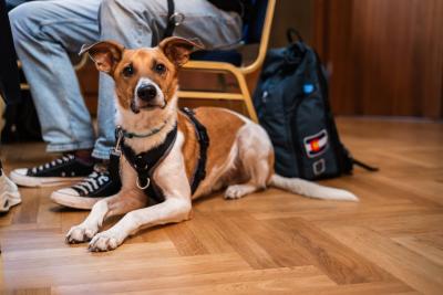 IG BAU Berlin Organwahlen 2025 IG BAU Berlin Organwahlen 2025